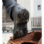 Chaussures de sécurité Montantes S3 SRC HRO Taurus Würth MODYF Noires